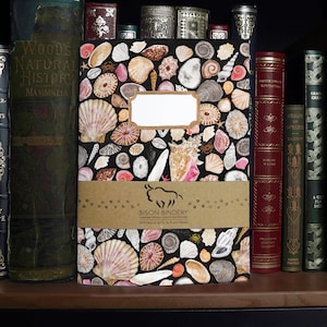 Mollusca Sea Shell A5 Soft Cover Notebook with 36 Plain Pages - Made from Recycled Materials - Hand-painted Watercolour Design