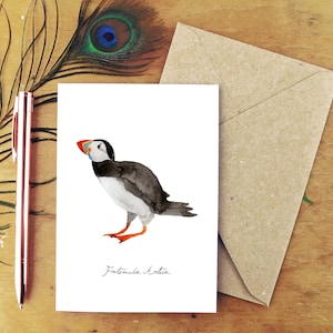 Common Puffin Greetings Card