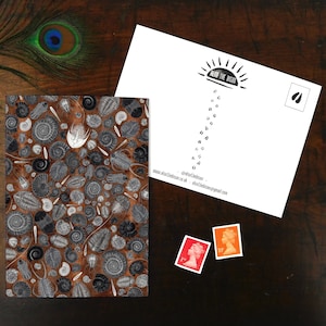 Ammonoidea Fossil Print Postkarte