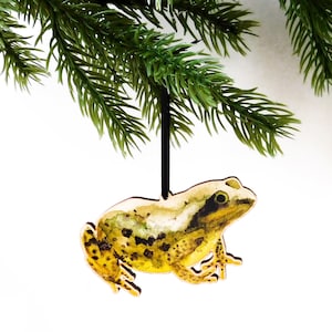 Amphibia Frog Wooden Hanging Decoration - Eco Christmas Bauble