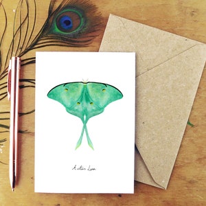 Luna Moth Greetings Card