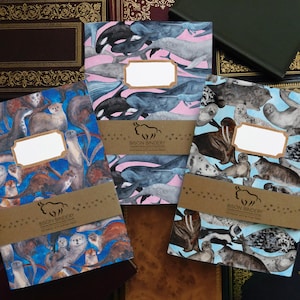Juego de 3 cuadernos de tapa blanda A5 de mamíferos marinos - 36 páginas lisas - Materiales reciclados - Diseños de acuarela (focas, ballenas y nutrias)