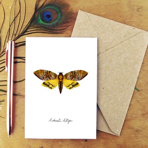 Death’s Head Hawkmoth Moth Greetings Card