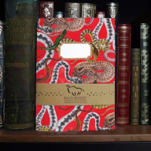 Reptilia A5 Soft Cover Notebook with 36 Plain Pages - Made from Recycled Materials - Hand-painted Watercolour Reptiles Design