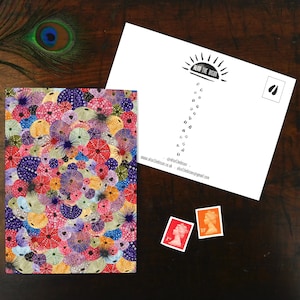 Echinozoa Urchin Print Postcard