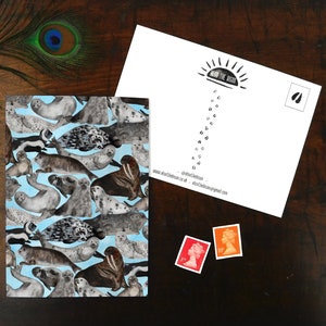 Cartão postal com impressão de Bob of Seals