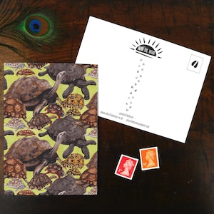 Cartão postal com impressão de Creep Of Tortoises