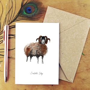 Carte de vœux Flock Swaledale Sheep