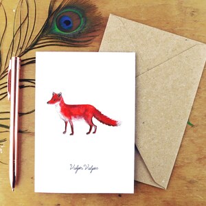 Sylvan Red Fox Greetings Card