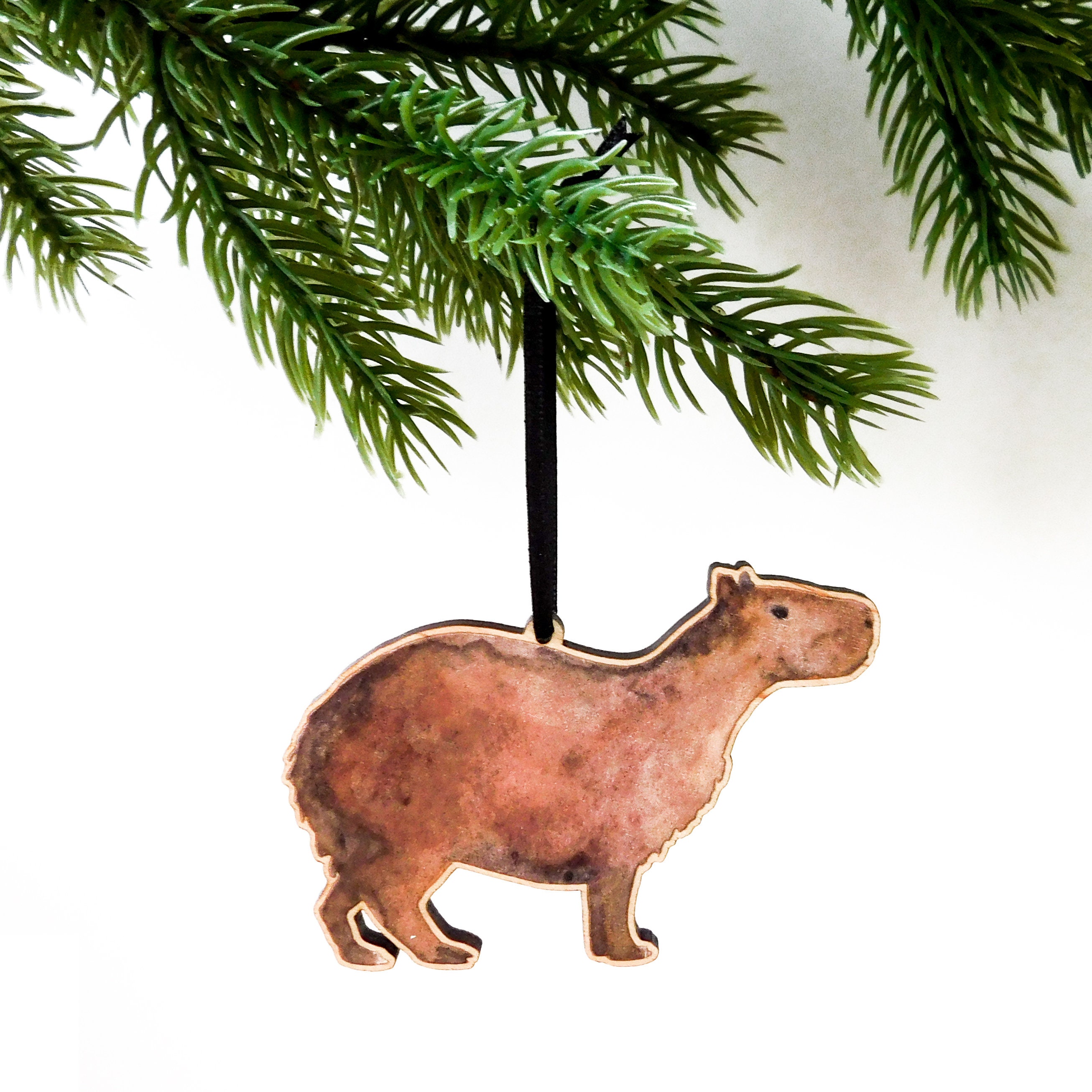 Capybara decoration - .de