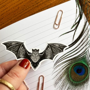 Naklejka z nietoperzem Chiroptera Pipistrelle - naklejka papierowa A6 Eco
