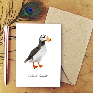 Horned Puffin Greetings Card