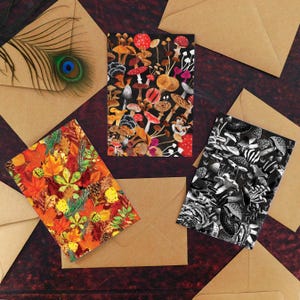Autumnal Greetings Card Pack - Set of 3 Print Greetings Cards - A6 - Blank Inside