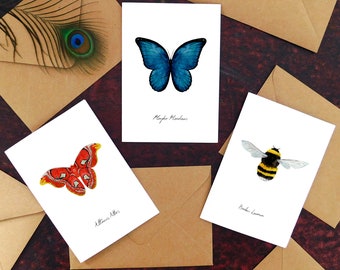 Insect Specimens Greetings Card Pack - Set of 3 Bug Print Greetings Cards - A6 - Blank Inside