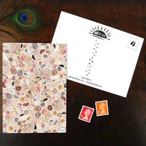 Conchae Seashell Print Postkarte