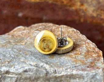 Wood and Resin Stud Earrings, Nature Inspired, Earthy, Natural, Wood Slice, Wooden Earrings