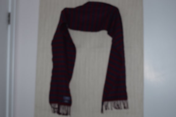 Charles Tyrwhitt cashmere striped red blue scarf - image 2