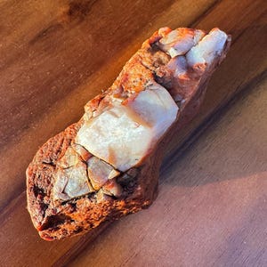 0.48lb - UV Reactive - Rainbow Petrified Wood from Arizona