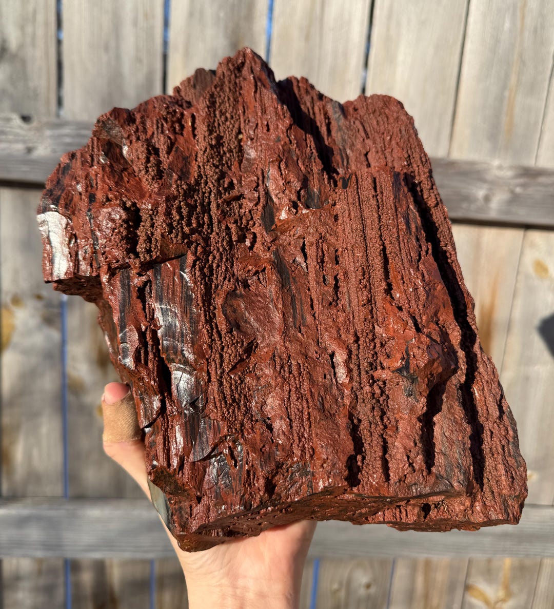 14lbs - HUGE XL Rainbow Petrified Wood From Arizona - Etsy
