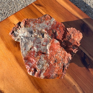 2.2lbs - Rainbow Petrified Wood from Arizona