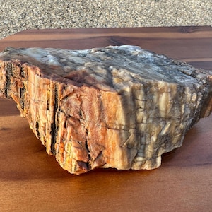 2.4lbs - UV Reactive - Petrified Wood from Arizona