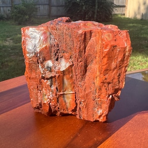 1.8lbs - Rainbow Petrified Wood from Arizona
