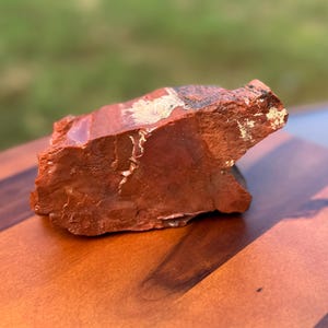 1.8lbs - Rainbow Petrified Wood from Arizona