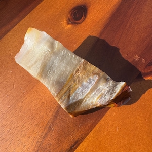 0.2lb - UV Reactive - Rainbow Petrified Wood from Arizona