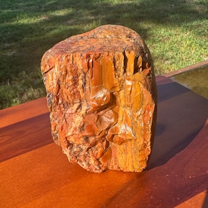 1.8lbs - Rainbow Petrified Wood from Arizona