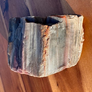 2.7lbs - UV Reactive - Petrified Wood from Arizona