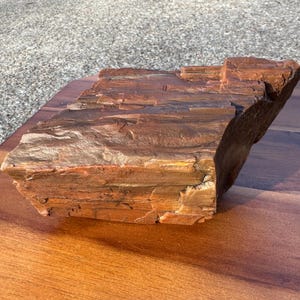 1.6lbs - UV Reactive - Petrified Wood from Arizona
