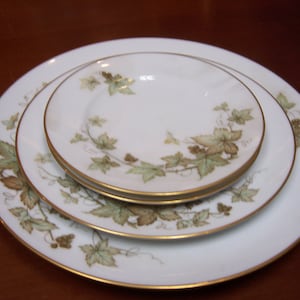 Footed Tea Cup & Saucer, Dinner Plate, Salad Plate, and 2 Bread and  Butter Plates - Trailing Ivy by: NORITAKE