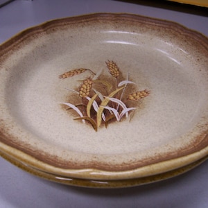 2 Salad Plates - Granola by MIKASA