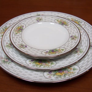Footed Tea Cup & Saucer Dinner Plate, Salad Plate, w/2 Bread and Butter Plates - Kenmare by: NORITAKE
