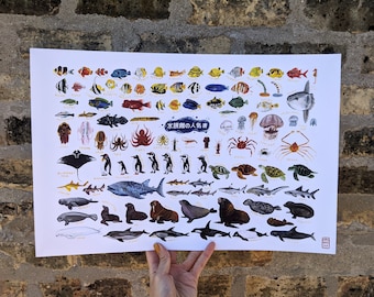 May include: A colorful illustrated poster featuring a variety of sea creatures, including fish, jellyfish, crabs, penguins, and whales. The poster is titled "水族館の人魚" in Japanese, which translates to "Aquarium Mermaid".