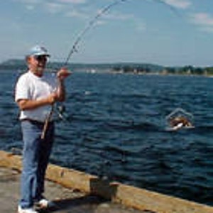 daiwa fishing poles 1 piece hevey Daiwa PCYN731MHFB Procyon
