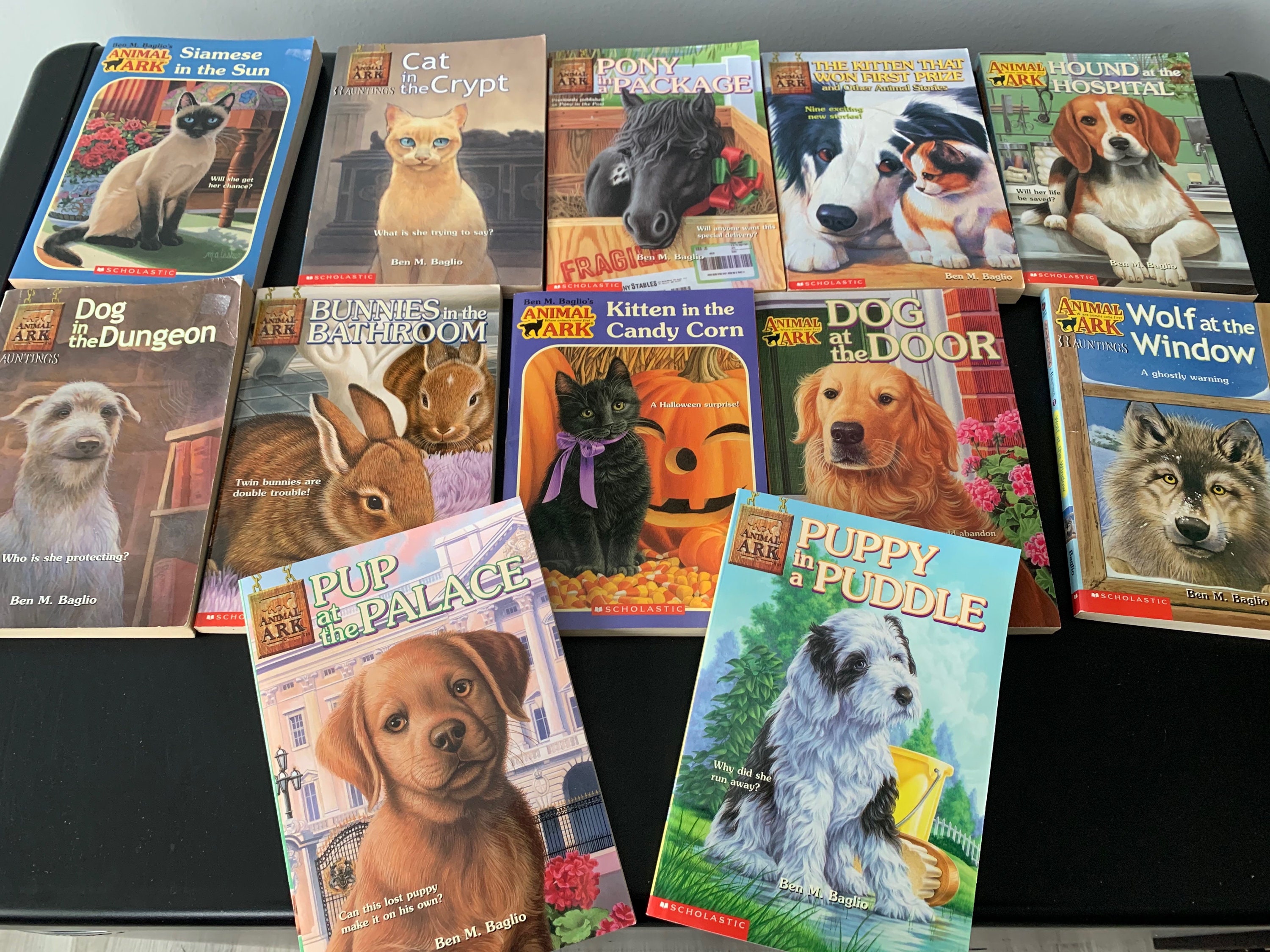 Animal Ark Scholastic Book Set 12 Books 1997 Etsy