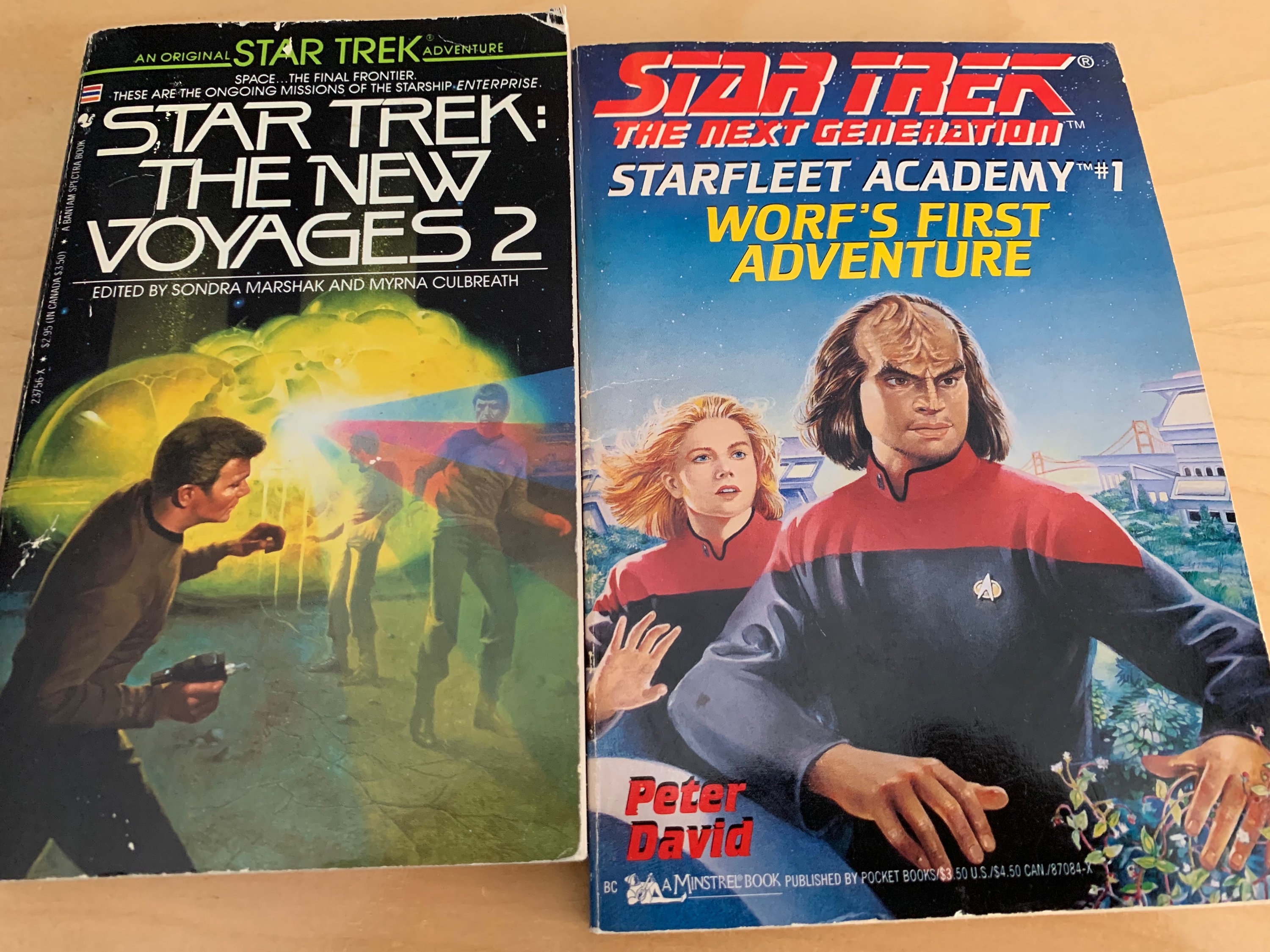 Star Trek Book Set 2 Books Star Trek New Voyages 2 / Star Etsy