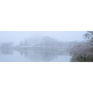 Washington DC Cherry Blossoms at Tidal Basin with distant view of Jefferson Memorial, panoramic wall art print