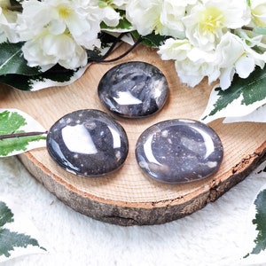 Feuerstein Feuerstein Taschenstein - Palmenstein - Cabochon / Cabochon Handstein poliert Naturstein Edelstein Trommelstein flache Scheibe dünn