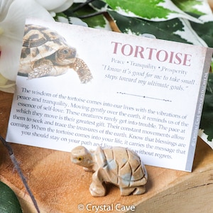 May include: A small, tan tortoise figurine next to a card with the word "TORTOISE" and text about peace and tranquility. The figurine is carved with detail and sits on a wooden surface, with white flowers and green leaves in the background.