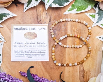 Pulsera de piedras preciosas de coral fósil / Cuentas redondas de 4 mm, joyería, piedras naturales, pulsera elástica de bolas, Powerbeads para hombres y mujeres