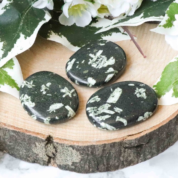 Chrysanthemum Pocket Stone - Palm Stone - Hand Stone Cabochon Natural Polished Crystal Gemstone Flat Disk Tumbled Healing Worry Rock Slab