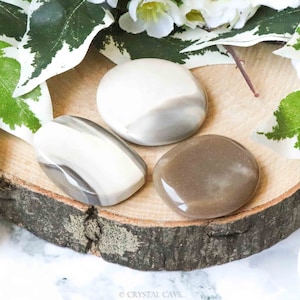 Flint Feuerstein-Taschenstein – Palmenstein – Halbanhänger/Cabochon-Handstein, polierter Naturstein, Edelstein, getrommelt, flache Scheibe, dünn