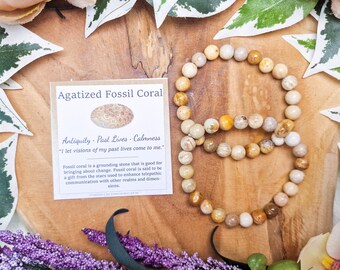 Pulsera de piedras preciosas de coral fósil / Cuentas redondas de 8 mm, joyería, piedras naturales, pulsera elástica de bolas, Powerbeads para hombres y mujeres