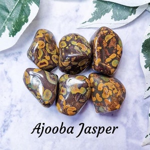 Ajooba Jasper Crystal Tumbled Stone Polished Gemstone / Grounding Stability Creativity / Crystals Rock Gem Tumble Fruit Conglomerate India