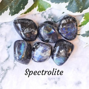 May include: A collection of six smooth, polished spectrolite stones. The stones are dark grey with iridescent blue, green, and purple hues. The stones are arranged on a white marble surface. The text "Spectrolite" is written in black below the stones. The text "Crystal Cave" is written in black below the word "Spectrolite".