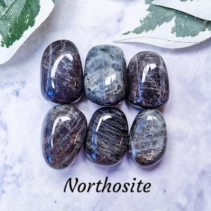 Puede incluir: Una colección de siete piedras lisas y pulidas de Northositite grises y negras. Las piedras están dispuestas en círculo sobre un fondo blanco con hojas verdes. El texto "Northositite" está escrito debajo de las piedras, y el texto "Crystal Cave" está escrito debajo de ese.