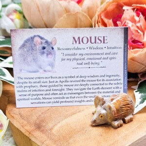 Pode incluir: Uma figurinha de rato de pedra marrom com olhos amarelos. A figurinha está sentada em uma superfície de madeira com um cartão que diz "MOUSE Resourcefulness Wisdom Intuition" e uma citação sobre a importância de considerar o ambiente.