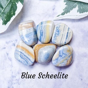 May include: A collection of six blue scheelite tumbled stones. The stones are a mix of light and dark blue with white and yellow streaks. The stones are arranged in a circle on a white background.